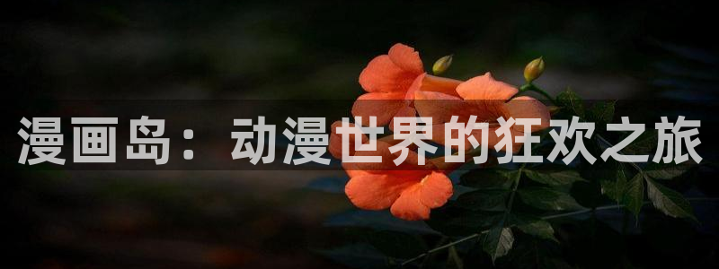 拷贝漫画下载2.2.9