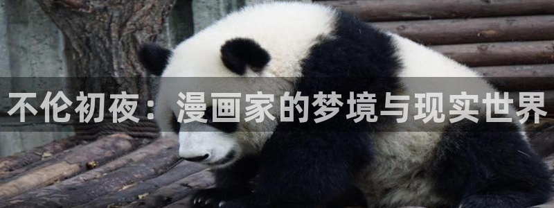 拷贝漫画app下载安装